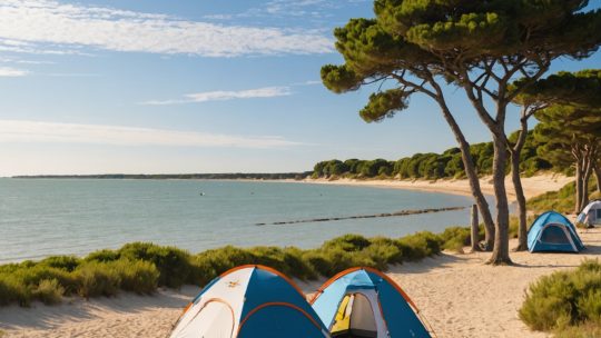 Découvrez les Meilleurs Campings de l’Île de Ré pour des Vacances Inoubliables en Charente